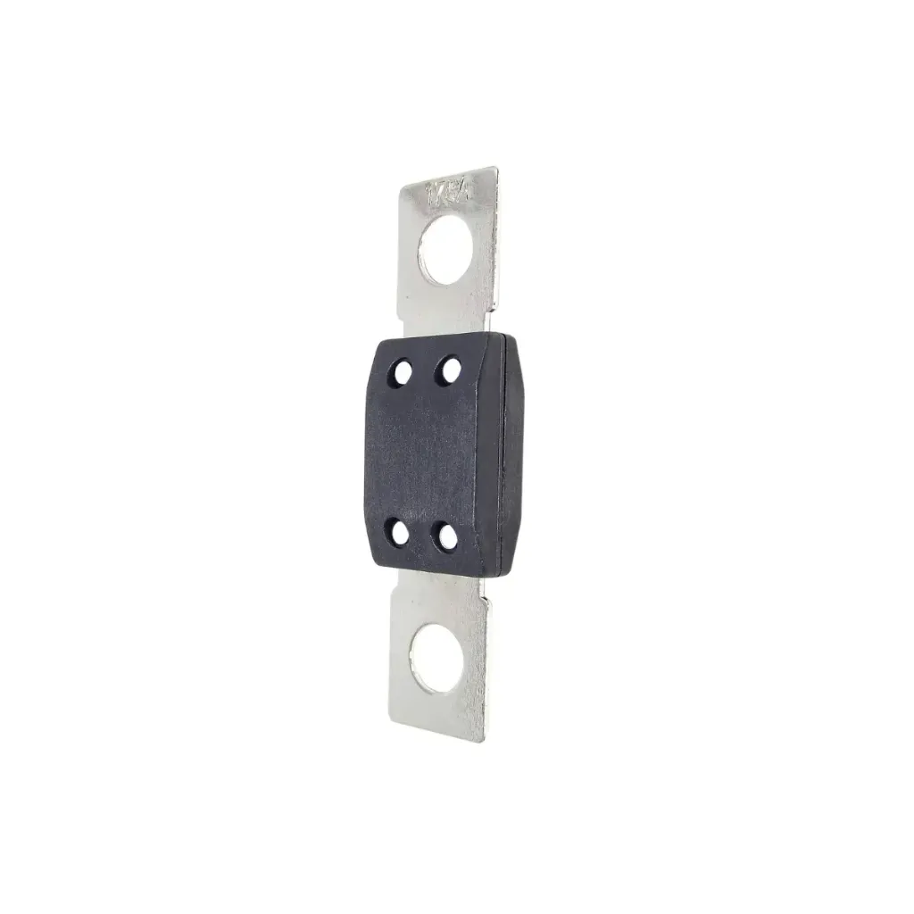Fusible Mega 100 Amper